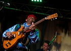 Lil&#39; Ed Williams (chant, guitare), Michael Garrett (guitare), Michael Scharff (basse),  Kelly Littleton (batterie) : 2015, BLUES, CONCERT, LIL ED AND THE BLUES IMPERIALS, NEW MORNING