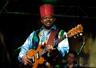 Lil&#39; Ed Williams (chant, guitare), Michael Garrett (guitare), Michael Scharff (basse),  Kelly Littleton (batterie) : 2015, BLUES, CONCERT, LIL ED AND THE BLUES IMPERIALS, NEW MORNING