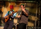 Lil&#39; Ed Williams (chant, guitare), Michael Garrett (guitare), Michael Scharff (basse),  Kelly Littleton (batterie) : 2015, BLUES, CONCERT, LIL ED AND THE BLUES IMPERIALS, NEW MORNING