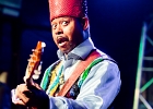 Lil&#39; Ed Williams (chant, guitare), Michael Garrett (guitare), Michael Scharff (basse),  Kelly Littleton (batterie) : 2015, BLUES, CONCERT, LIL ED AND THE BLUES IMPERIALS, NEW MORNING