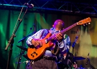 Lil&#39; Ed Williams (chant, guitare), Michael Garrett (guitare), Michael Scharff (basse),  Kelly Littleton (batterie) : 2015, BLUES, CONCERT, LIL ED AND THE BLUES IMPERIALS, NEW MORNING