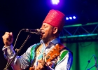 Lil&#39; Ed Williams (chant, guitare), Michael Garrett (guitare), Michael Scharff (basse),  Kelly Littleton (batterie) : 2015, BLUES, CONCERT, LIL ED AND THE BLUES IMPERIALS, NEW MORNING