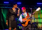 Lil&#39; Ed Williams (chant, guitare), Michael Garrett (guitare), Michael Scharff (basse),  Kelly Littleton (batterie)  et Shakura S&#39;Aida en invitée : 2015, BLUES, CONCERT, LIL ED AND THE BLUES IMPERIALS, NEW MORNING