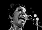 IMG 1491 : 2015, BLUES, CONCERT, MALTED MILK, PAN PIPER, SOUL, TONI GREEN