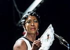 IMG 1497 : 2015, BLUES, CONCERT, MALTED MILK, PAN PIPER, SOUL, TONI GREEN