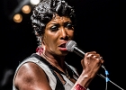 IMG 1502 : 2015, BLUES, CONCERT, MALTED MILK, PAN PIPER, SOUL, TONI GREEN