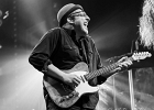 IMG 1998  Dana Fuchs (chant), Jon Diamond (guitare), Walter Latupeirissa (basse), Piero Perelli (batterie) : 2015, BILLY BOB'S, BLUES, BLUES ROCK, DANA FUCHS BAND, DISNEY VILLAGE, KYLA BROX, SOPHIE MALBEC