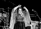 IMG 2369  Jersey Julie (chant, sax), Olivier Mas (guitare, chant) : 2015, BLUES, CONCERT, JERSEY JULIE BAND, ROCK, SOUL, TREMBLAY EN FRANCE