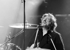 IMG 2520  Band of Friends : Gerry Mc Avoy (basse), Ted Mc Kenna (batterie), Marcel Scherpenzeel (guitare, chant) : 2015, BAND OF FRIENDS, BLUES, BLUES ROCK, CONCERT, GERRY MC AVOY, MARCEL SCHERPENZEEL, PHILIPPE MENARD, ROCK, RORY GALLAGHER, TED MC KENNA, TREMBLAY EN FRANCE