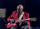 IMG 3589  Leo Bud Welch : 2015, BLUES, CONCERT, FARIS, LA MAROQUINERIE, LEO BUD WELCH, PARIS