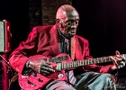 IMG 3598  Leo Bud Welch : 2015, BLUES, CONCERT, FARIS, LA MAROQUINERIE, LEO BUD WELCH, PARIS