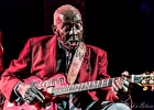 IMG 3612  Leo Bud Welch : 2015, BLUES, CONCERT, FARIS, LA MAROQUINERIE, LEO BUD WELCH, PARIS