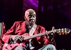 IMG 3613  Leo Bud Welch : 2015, BLUES, CONCERT, FARIS, LA MAROQUINERIE, LEO BUD WELCH, PARIS