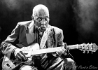 IMG 3622  Leo Bud Welch : 2015, BLUES, CONCERT, FARIS, LA MAROQUINERIE, LEO BUD WELCH, PARIS