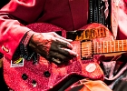 IMG 3636  Leo Bud Welch : 2015, BLUES, CONCERT, FARIS, LA MAROQUINERIE, LEO BUD WELCH, PARIS