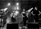 20150729-IMG 4259  Canailles : 2015, CANAILLES, CONCERT, FESTIVAL LA DEFERLANTE, FOLK CAJUN, MONREAL, SAINT BREVIN