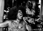 IMG 4983  Lady A (chant),  Toronzo Cannon  (guitare), David Forte (basse), Christopher Alexander (batteur), Ronnie Hicks (claviers) : 2015, BARCELONE, CROISIERE BLUES, EIROPEAN BLUES CRUISE, MARSEILLE, MINORQUE