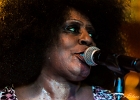 IMG 5014  Lady A (chant),  Toronzo Cannon  (guitare), David Forte (basse), Christopher Alexander (batteur), Ronnie Hicks (claviers) : 2015, BARCELONE, CROISIERE BLUES, EIROPEAN BLUES CRUISE, MARSEILLE, MINORQUE