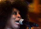 IMG 5015  Lady A (chant),  Toronzo Cannon  (guitare), David Forte (basse), Christopher Alexander (batteur), Ronnie Hicks (claviers) : 2015, BARCELONE, CROISIERE BLUES, EIROPEAN BLUES CRUISE, MARSEILLE, MINORQUE