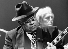 IMG 5552  Roy Ganes (guitar, chant), David Melton (guitare), Richard Reed (basse),  James Paxson (batterie), Joe Cambpell  (trompette), Lawrence Kincherlow (sax ténor). : 2015, BLUES, CONCERT, ROCK, ROY GAINES AND HIS TUXEDO BLUES ORCHESTRA, TREMBLAY EN FRANCE