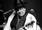 IMG 5590  Roy Ganes (guitar, chant), David Melton (guitare), Richard Reed (basse),  James Paxson (batterie), Joe Cambpell  (trompette), Lawrence Kincherlow (sax ténor). : 2015, BLUES, CONCERT, ROCK, ROY GAINES AND HIS TUXEDO BLUES ORCHESTRA, TREMBLAY EN FRANCE