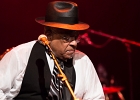 IMG 5594  Roy Ganes (guitar, chant), David Melton (guitare), Richard Reed (basse),  James Paxson (batterie), Joe Cambpell  (trompette), Lawrence Kincherlow (sax ténor). : 2015, BLUES, CONCERT, ROCK, ROY GAINES AND HIS TUXEDO BLUES ORCHESTRA, TREMBLAY EN FRANCE