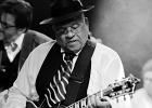 IMG 5601  Roy Ganes (guitar, chant), David Melton (guitare), Richard Reed (basse),  James Paxson (batterie), Joe Cambpell  (trompette), Lawrence Kincherlow (sax ténor). : 2015, BLUES, CONCERT, ROCK, ROY GAINES AND HIS TUXEDO BLUES ORCHESTRA, TREMBLAY EN FRANCE