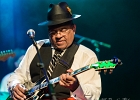 IMG 5609  Roy Ganes (guitar, chant), David Melton (guitare), Richard Reed (basse),  James Paxson (batterie), Joe Cambpell  (trompette), Lawrence Kincherlow (sax ténor). : 2015, BLUES, CONCERT, ROCK, ROY GAINES AND HIS TUXEDO BLUES ORCHESTRA, TREMBLAY EN FRANCE