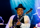 IMG 5613  Roy Ganes (guitar, chant), David Melton (guitare), Richard Reed (basse),  James Paxson (batterie), Joe Cambpell  (trompette), Lawrence Kincherlow (sax ténor). : 2015, BLUES, CONCERT, ROCK, ROY GAINES AND HIS TUXEDO BLUES ORCHESTRA, TREMBLAY EN FRANCE