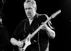 IMG 5925  Big Ed Sullivan (guitare, chant), Antoine Duplicky (guitare), Francis Campello (basse), Martin Gautheron (batterie) : 2015, BIG ED SULLIVAN, BLUES, BLUES ROCK, CONCERT, PETIT JOURNAL MONTPARNASSE, ROCK