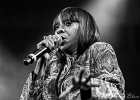 IMG 6329  Chicago Blues Festival : Chris James (guitare,chant),  Patrick Rynn (basse) , Aki Kumar (harmonica, chant), , Ken Saydak  (claviers, chant),  Melvia &#34;chick&#34; Rogers (chant),   Willie Hayes (batterie) : 2015, ACHERES, AKI KUMAR, BLUES, CHICAGO BLUES FESTIVAL, CHICK RODGERS, CHRIS JAMES, CONCERT, KEN SAYDAK, LE SAX, PATRICK RYNN, WILLIE HAYES