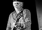 IMG 6349  Fred Chapellier (guitare, chant), Charlie Fabert (guitare, chant), Pascal Bako Mikaelian (harmonica), Christophe Garreau (basse), Guillaume Destarac (batterie) : 2015, BLUES, BLUES ROCK, CONCERT, FRED CHAPELLIER, JAZZ CLUB LIONEL HAMPTON