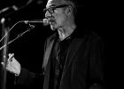 IMG 6352  Fred Chapellier (guitare, chant), Charlie Fabert (guitare, chant), Pascal Bako Mikaelian (harmonica), Christophe Garreau (basse), Guillaume Destarac (batterie) : 2015, BLUES, BLUES ROCK, CONCERT, FRED CHAPELLIER, JAZZ CLUB LIONEL HAMPTON