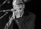 IMG 6356  Fred Chapellier (guitare, chant), Charlie Fabert (guitare, chant), Pascal Bako Mikaelian (harmonica), Christophe Garreau (basse), Guillaume Destarac (batterie) : 2015, BLUES, BLUES ROCK, CONCERT, FRED CHAPELLIER, JAZZ CLUB LIONEL HAMPTON