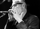 IMG 6357  Fred Chapellier (guitare, chant), Charlie Fabert (guitare, chant), Pascal Bako Mikaelian (harmonica), Christophe Garreau (basse), Guillaume Destarac (batterie) : 2015, BLUES, BLUES ROCK, CONCERT, FRED CHAPELLIER, JAZZ CLUB LIONEL HAMPTON