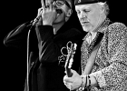IMG 6364  Fred Chapellier (guitare, chant), Charlie Fabert (guitare, chant), Pascal Bako Mikaelian (harmonica), Christophe Garreau (basse), Guillaume Destarac (batterie) : 2015, BLUES, BLUES ROCK, CONCERT, FRED CHAPELLIER, JAZZ CLUB LIONEL HAMPTON