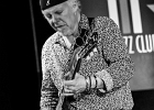 IMG 6367  Fred Chapellier (guitare, chant), Charlie Fabert (guitare, chant), Pascal Bako Mikaelian (harmonica), Christophe Garreau (basse), Guillaume Destarac (batterie) : 2015, BLUES, BLUES ROCK, CONCERT, FRED CHAPELLIER, JAZZ CLUB LIONEL HAMPTON