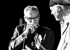 IMG 6380  Fred Chapellier (guitare, chant), Charlie Fabert (guitare, chant), Pascal Bako Mikaelian (harmonica), Christophe Garreau (basse), Guillaume Destarac (batterie) : 2015, BLUES, BLUES ROCK, CONCERT, FRED CHAPELLIER, JAZZ CLUB LIONEL HAMPTON