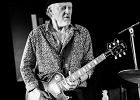 IMG 6406  Fred Chapellier (guitare, chant), Charlie Fabert (guitare, chant), Pascal Bako Mikaelian (harmonica), Christophe Garreau (basse), Guillaume Destarac (batterie) : 2015, BLUES, BLUES ROCK, CONCERT, FRED CHAPELLIER, JAZZ CLUB LIONEL HAMPTON