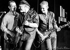 IMG 6435  Fred Chapellier (guitare, chant), Charlie Fabert (guitare, chant), Pascal Bako Mikaelian (harmonica), Christophe Garreau (basse), Guillaume Destarac (batterie) : 2015, BLUES, BLUES ROCK, CONCERT, FRED CHAPELLIER, JAZZ CLUB LIONEL HAMPTON