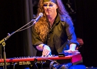 IMG 6614  Mike Wheeler: (chant, guitare), Larry Williams (basse), Cleo Cole (batterie), Brian James (claviers) : 2015, BLUES, CONCERT, DADDY MT AND THE MATCHES, FUNK, MIKE WHEELER BAND, TREMBLAY EN FRANCE