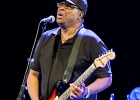 IMG 6616  Mike Wheeler: (chant, guitare), Larry Williams (basse), Cleo Cole (batterie), Brian James (claviers) : 2015, BLUES, CONCERT, DADDY MT AND THE MATCHES, FUNK, MIKE WHEELER BAND, TREMBLAY EN FRANCE