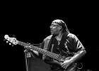 IMG 6630  Mike Wheeler: (chant, guitare), Larry Williams (basse), Cleo Cole (batterie), Brian James (claviers) : 2015, BLUES, CONCERT, DADDY MT AND THE MATCHES, FUNK, MIKE WHEELER BAND, TREMBLAY EN FRANCE