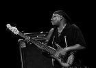 IMG 6648  Mike Wheeler: (chant, guitare), Larry Williams (basse), Cleo Cole (batterie), Brian James (claviers) : 2015, BLUES, CONCERT, DADDY MT AND THE MATCHES, FUNK, MIKE WHEELER BAND, TREMBLAY EN FRANCE
