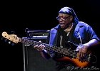 IMG 6662  Mike Wheeler: (chant, guitare), Larry Williams (basse), Cleo Cole (batterie), Brian James (claviers) : 2015, BLUES, CONCERT, DADDY MT AND THE MATCHES, FUNK, MIKE WHEELER BAND, TREMBLAY EN FRANCE