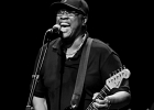 IMG 6675  Mike Wheeler: (chant, guitare), Larry Williams (basse), Cleo Cole (batterie), Brian James (claviers) : 2015, BLUES, CONCERT, DADDY MT AND THE MATCHES, FUNK, MIKE WHEELER BAND, TREMBLAY EN FRANCE