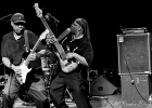IMG 6695  Mike Wheeler: (chant, guitare), Larry Williams (basse), Cleo Cole (batterie), Brian James (claviers) : 2015, BLUES, CONCERT, DADDY MT AND THE MATCHES, FUNK, MIKE WHEELER BAND, TREMBLAY EN FRANCE4
