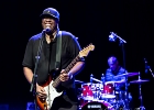 IMG 6697  Mike Wheeler: (chant, guitare), Larry Williams (basse), Cleo Cole (batterie), Brian James (claviers) : 2015, BLUES, CONCERT, DADDY MT AND THE MATCHES, FUNK, MIKE WHEELER BAND, TREMBLAY EN FRANCE