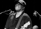 IMG 6699  Mike Wheeler: (chant, guitare), Larry Williams (basse), Cleo Cole (batterie), Brian James (claviers) : 2015, BLUES, CONCERT, DADDY MT AND THE MATCHES, FUNK, MIKE WHEELER BAND, TREMBLAY EN FRANCE
