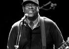 IMG 6705  Mike Wheeler: (chant, guitare), Larry Williams (basse), Cleo Cole (batterie), Brian James (claviers) : 2015, BLUES, CONCERT, DADDY MT AND THE MATCHES, FUNK, MIKE WHEELER BAND, TREMBLAY EN FRANCE